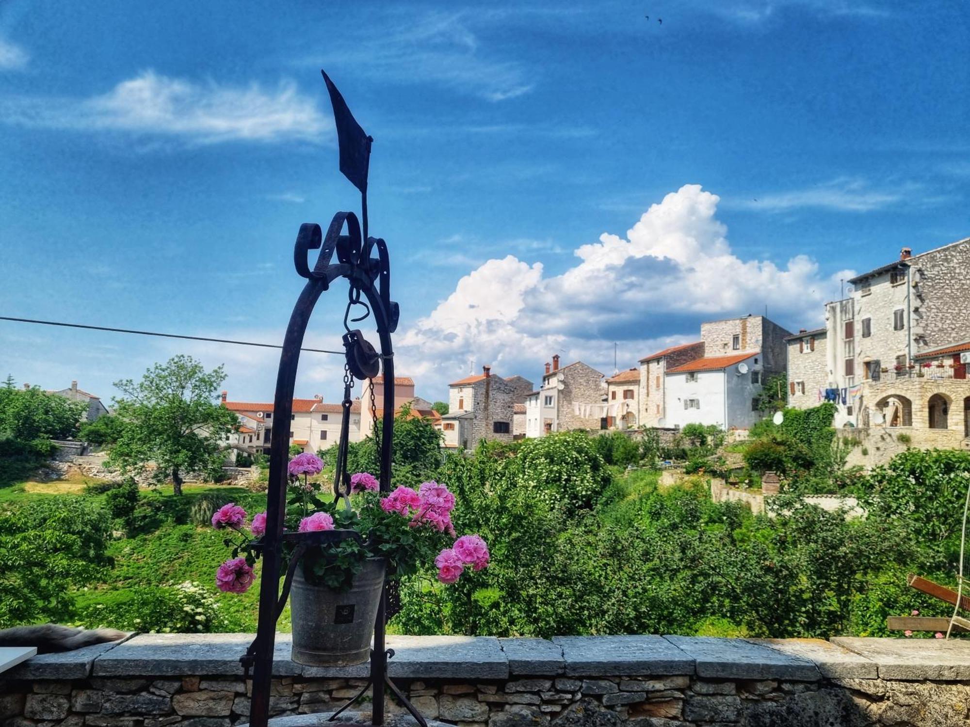 Apartman Ane